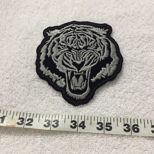 Roaring tiger fighting - roaring,