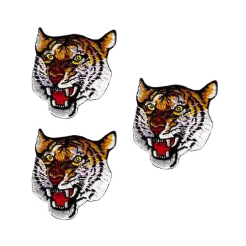 Tiger ferocious head - ferocious,