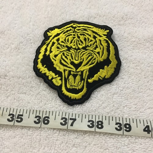 Roaring tiger fighting - roaring,